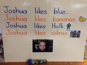 Shared writing chart after an interview.