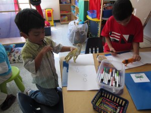 Making dinosaur books