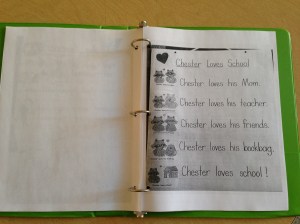 The charts are photographed so children see what we read in class