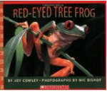 Screen Shot 2015-08-10 at 12.29.29 PM